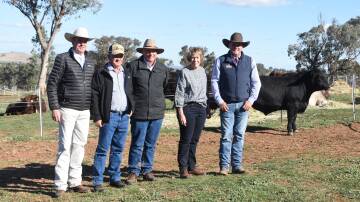 Auctioneer Paul Dooley, Tamworth, Gerald Spry, Sprys Shorthorn and Angus, Mark and Wendy Perkins, WE Livestock Pty Ltd, Pullenvale, Qld and Matt Spry, Spry's Shorthorns and Angus, with the top-priced bull Sprys Shorthorns and Angus.  